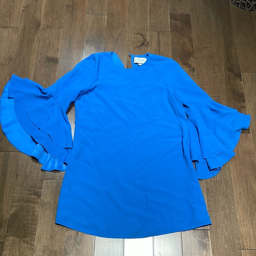 Alexis mini dress size M